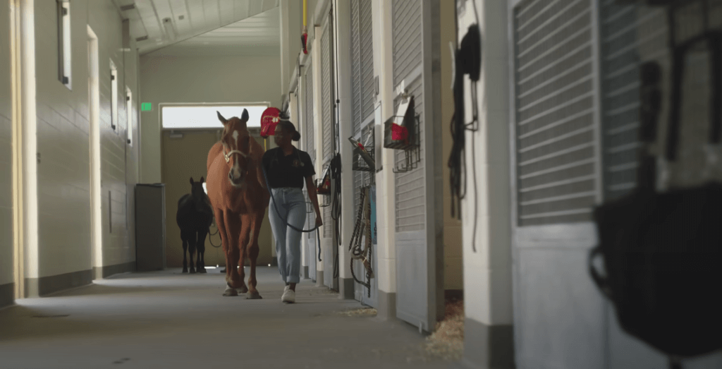 a girl leads a horse through the stables