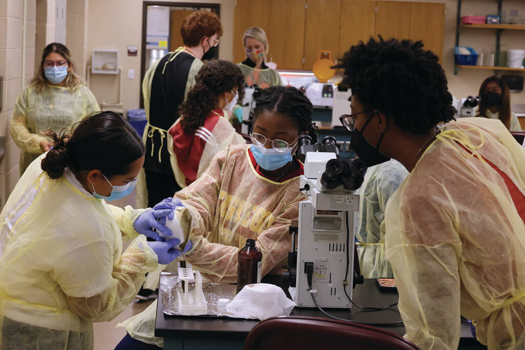 Participants work together pouring a liquid into a tube at a microscope workstation