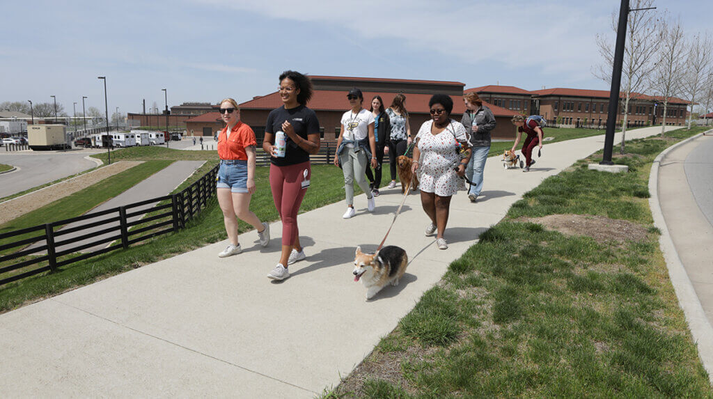 A group of people and pups walk down the sidewalk along the Purdue University Equine Hospital