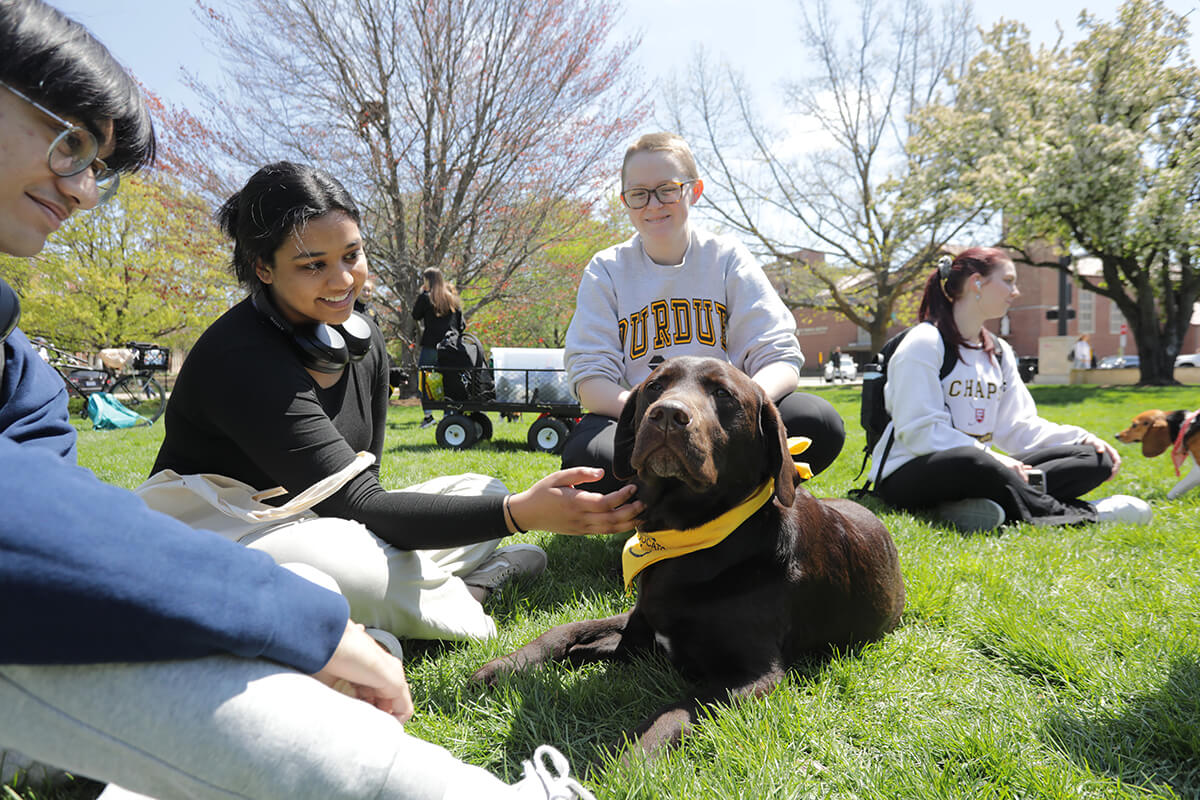 What A Difference A Day Makes! | Purdue University College Of ...