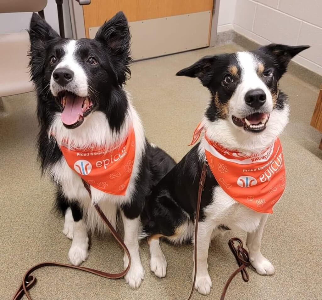 Zip and Ry smile wearing event bandanas as they sit in an exam room.