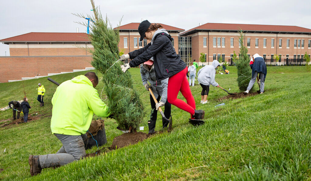volunteers plant trees along the hill with the Brunner Small Animal Hospital in the background