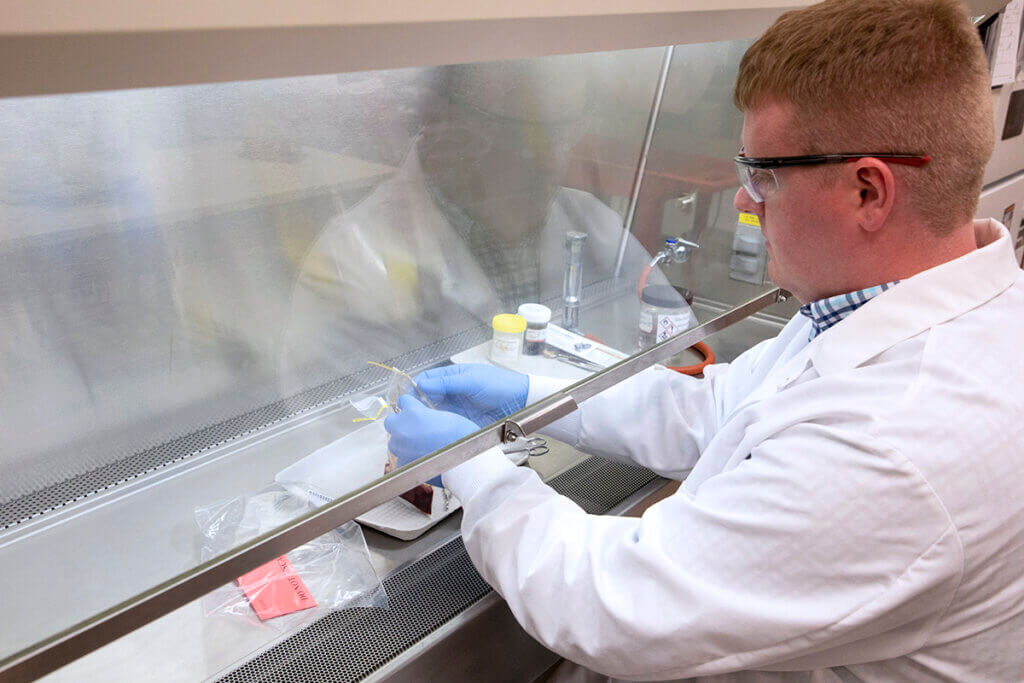 Dr. Bowen works under the hood with a sample in the lab.