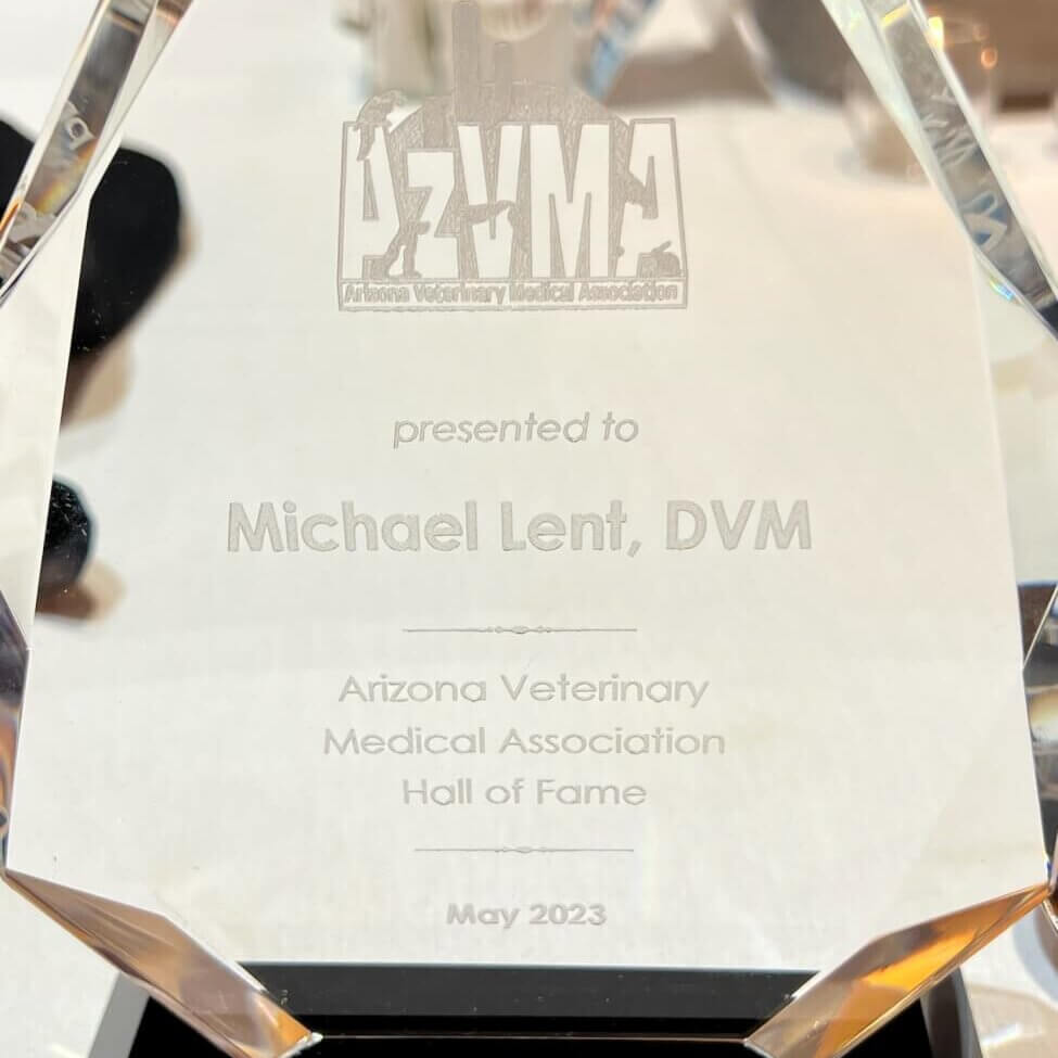 Crystal award for Dr. Michael Lent, recognizing his induction into the AzVMA Hall of Fame.