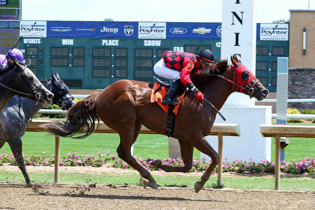 winning horse and jockey cross the finish line