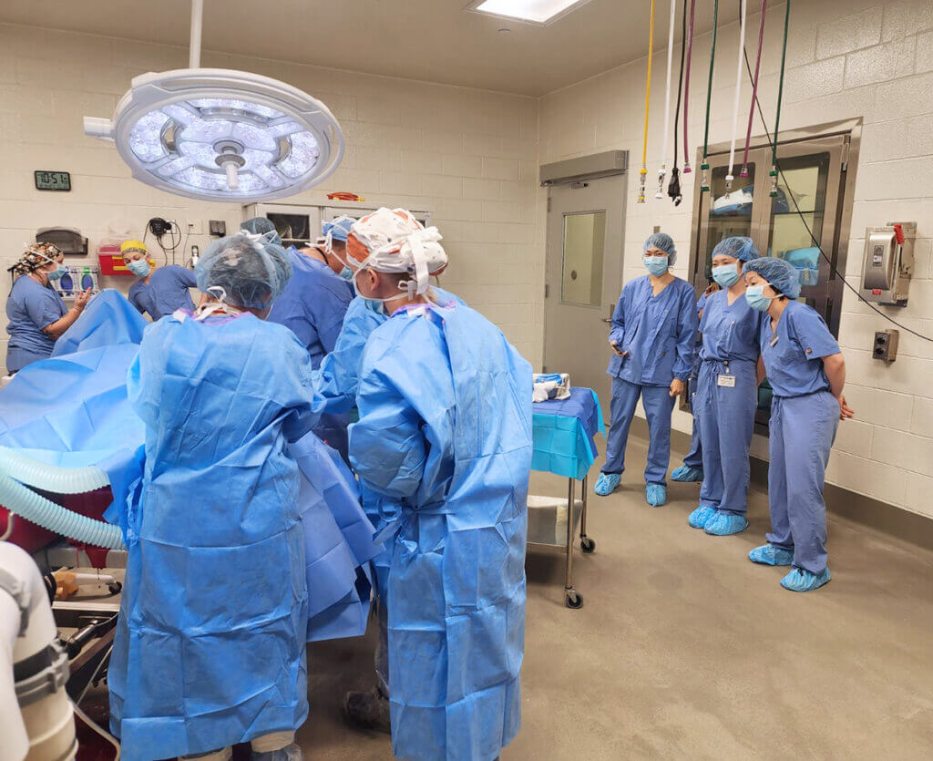 The exchange visitors watch a surgery underway in the Equine Hospital