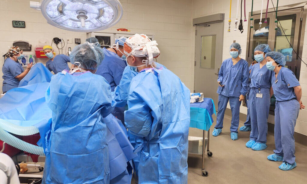 The exchange visitors watch a surgery underway in the Equine Hospital