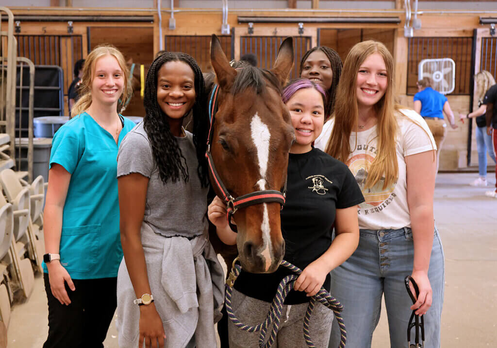 A diverse mix of Vet Up! participant join for a group photo smiling into the camera with a horse standing in the middle.