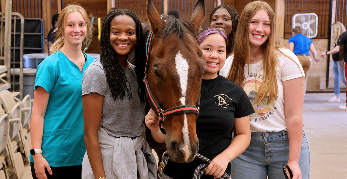 Three Million Dollar Grant Renews Funding For Purdue Program Expanding ...