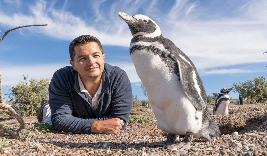 Dr. Borboroglu lays on his stomach on the ground smiling up at a penguin