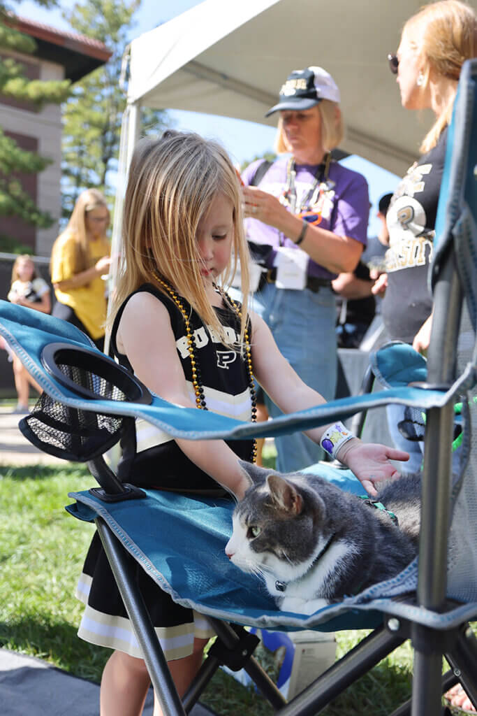 A young Boilermaker fan decked out in black and gold beads and a Purdue cheer dress takes a moment to pet Baby Kitty as the cat sits in a blue folding lawn chair