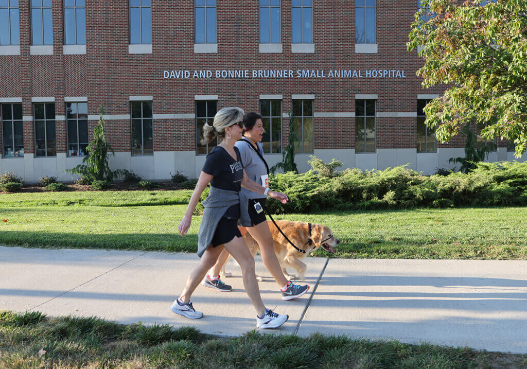 Two female participants and a Golden Retriever companion walk past the Small Animal Hospital on their way to the finish line.