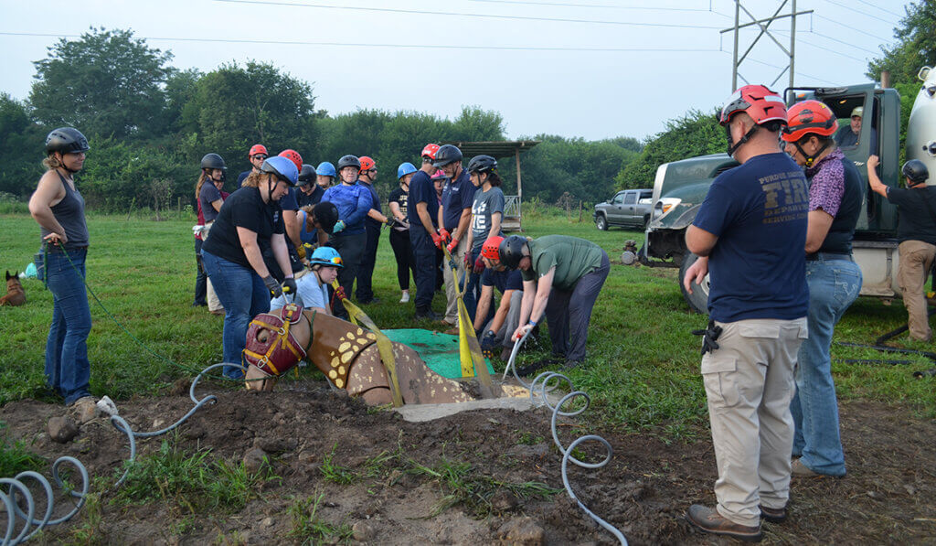 Participants work together to pull the horse mannequin from a muddy hole