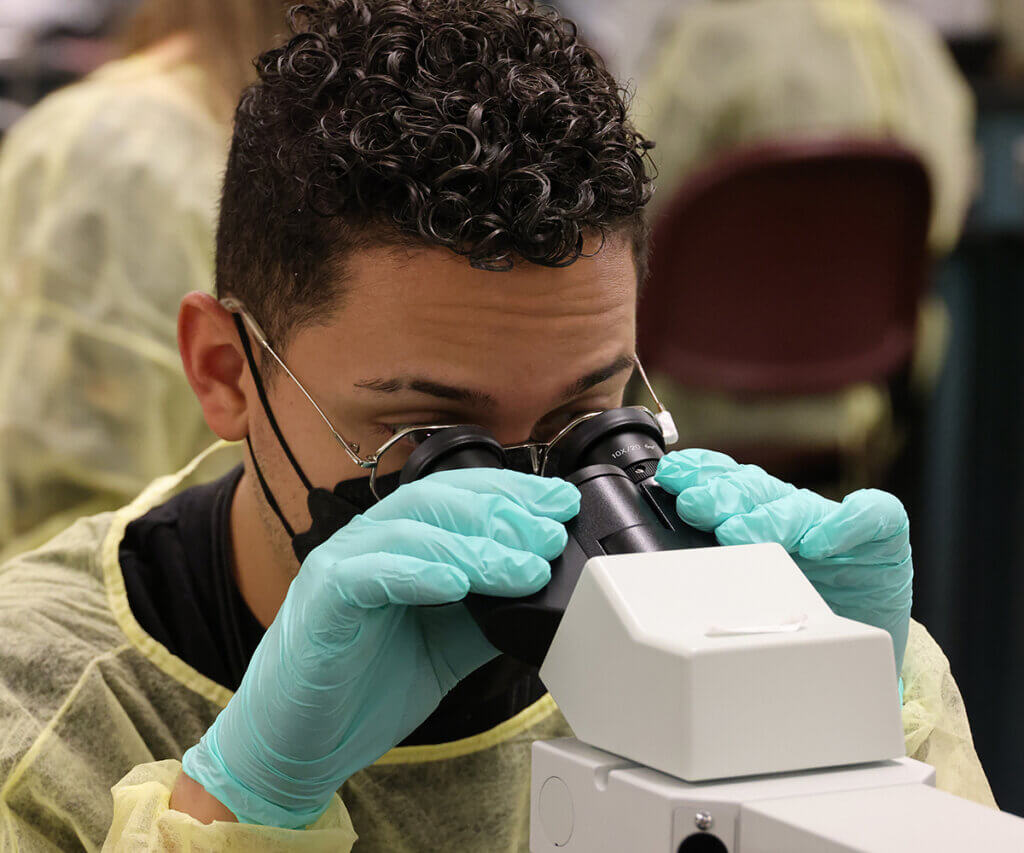 A Vet Up! participant wearing a gown, gloves, and mask looks into a microscope