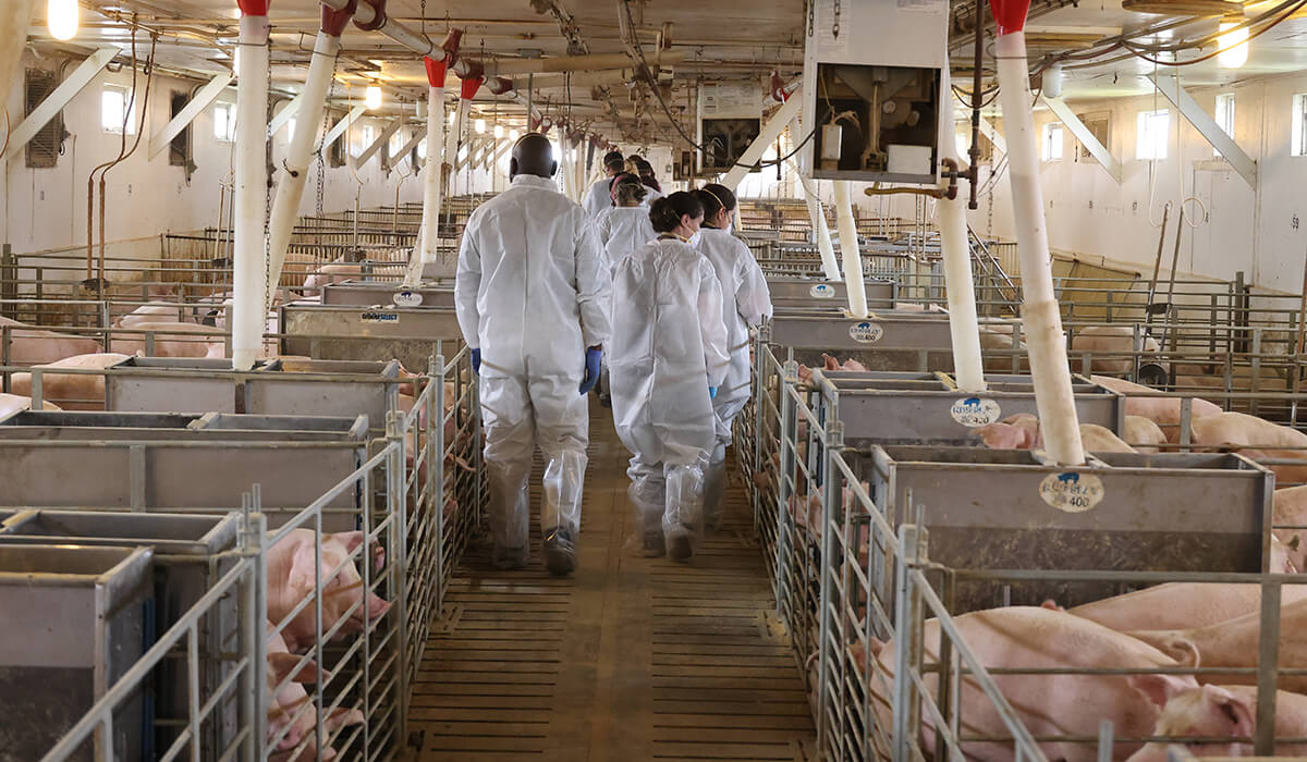 Dr. Ragland leads a group through the Purdue Swine Farm facility