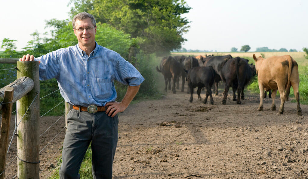 Dr. Hilton leans against a fence post as a herd of cattle walk behind him down a dirt path into the distance