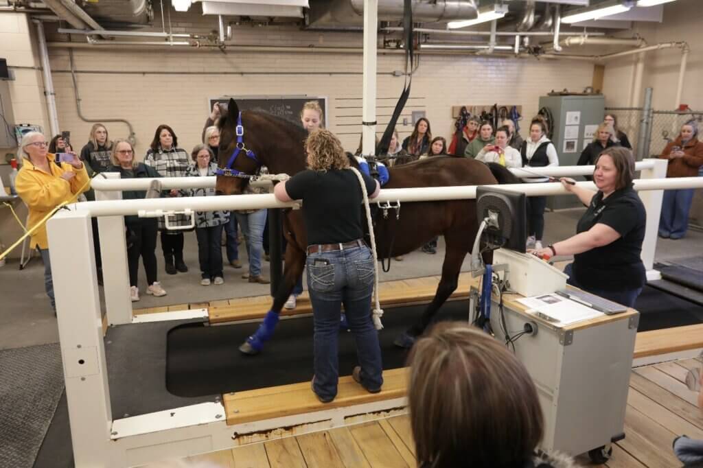 Equine enthusiasts were fascinated by the demonstration of the high speed equine treadmill at the Donald J. McCrosky Equine Sports Medicine Center.