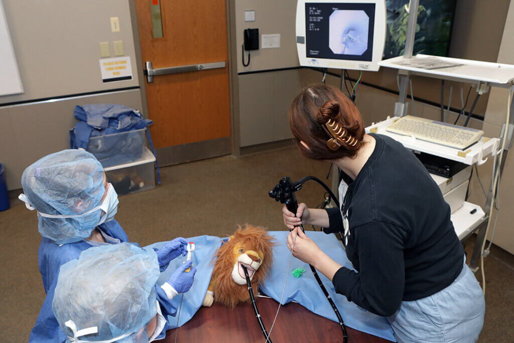 Young Open House visitors learn about using an endoscope after gowning-up in the Teddy Bear Suturing and “Dress like a Surgeon” Suite organized by third-year veterinary students.