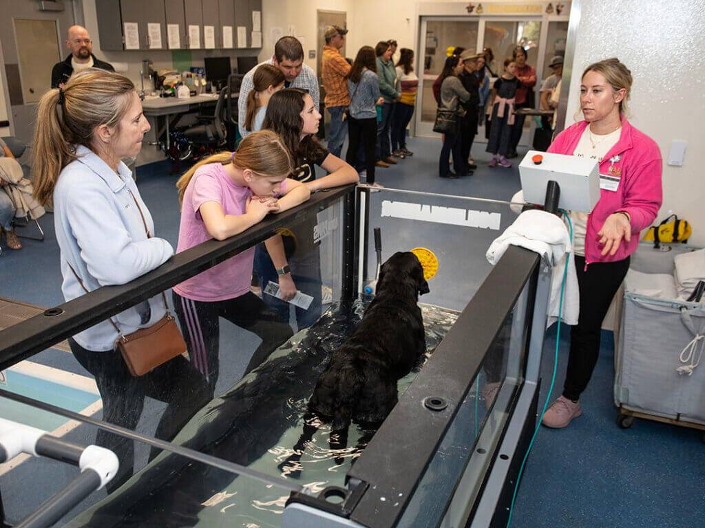 Physical Rehabilitation Veterinary Technician Rachel Yoquelet, BS, RVT, VTS (ECC), CVMRT, conducts a demonstration of the underwater treadmill during the PVM Open House.