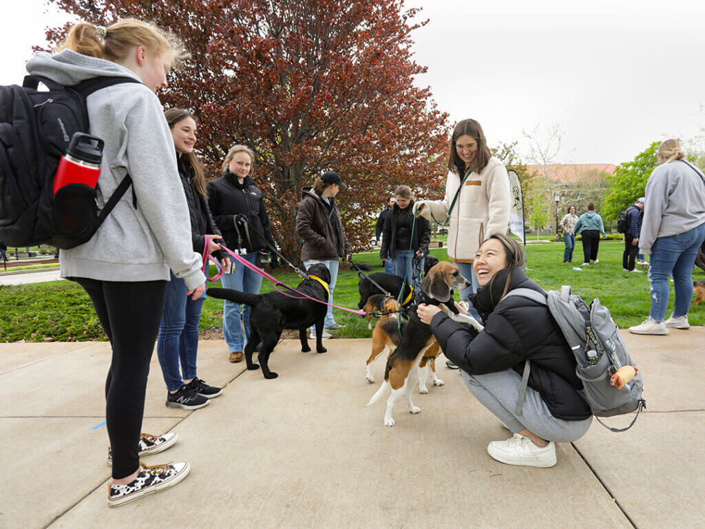 a group of students interacts with a dog