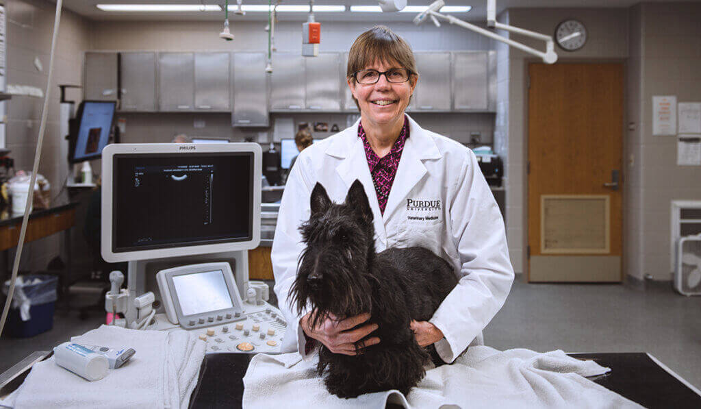 Dr. Deborah Knapp, Distinguished Professor of Comparative Oncology and director of the Evan and Sue Ann Werling Comparative Oncology Research Center, studies cancer in Scottish terriers to help advance the science of detecting and treating early cancer in both humans and dogs. (Purdue University photo/Rebecca Robinos)