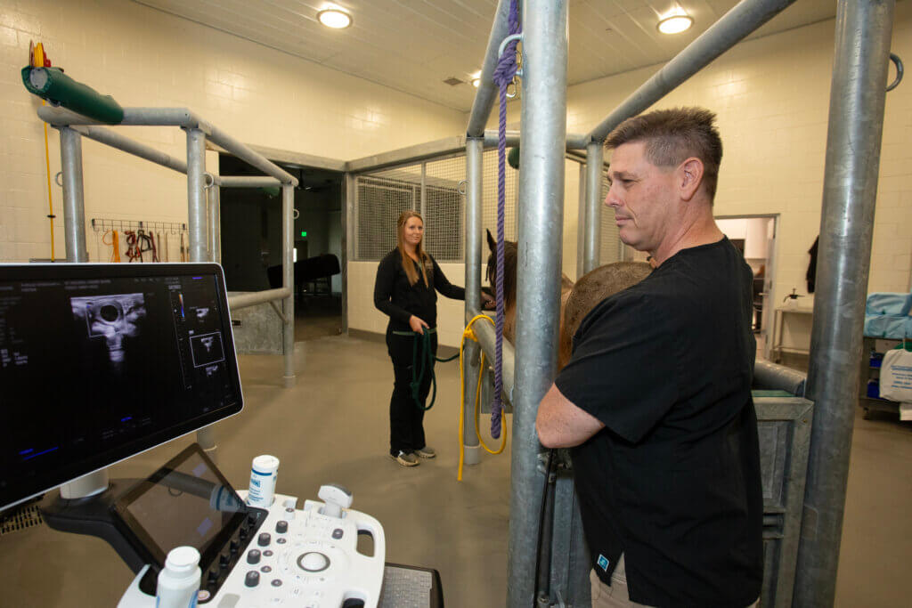 Dr. Justin Hayna, clinical assistant professor of equine theriogenology, evaluates an ultrasound image in the Equine Hospital’s Theriogenology Service.