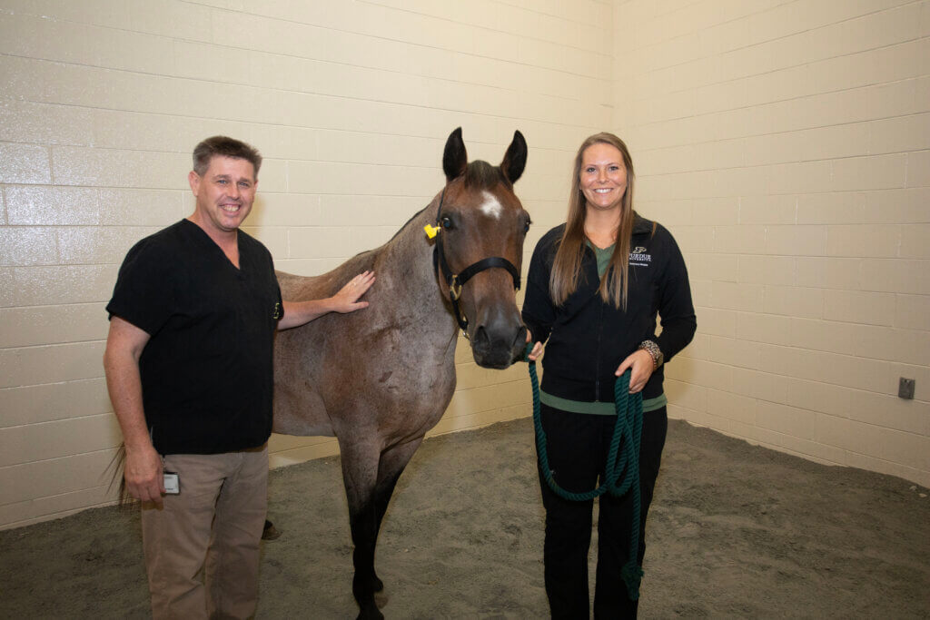 Purdue University Veterinary Hospital theriogenology team members Justin Hayna, DVM, DACT, and Large Animal Veterinary Assistant Allison Gossett, with a horse named Nova.