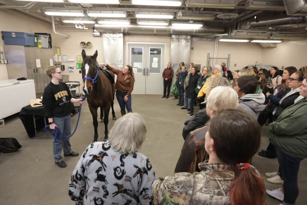 Equine Wellness Forum attendees watch a saddle-fitting demonstration.