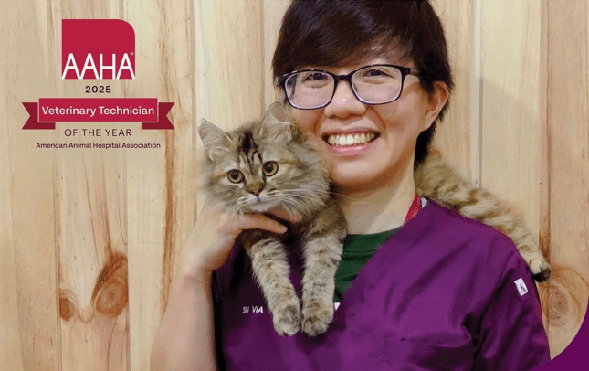 Pictured: Su Via Chong, the winner of the 2024 AAHA Veterinary Technician of the Year Award, holding a cat