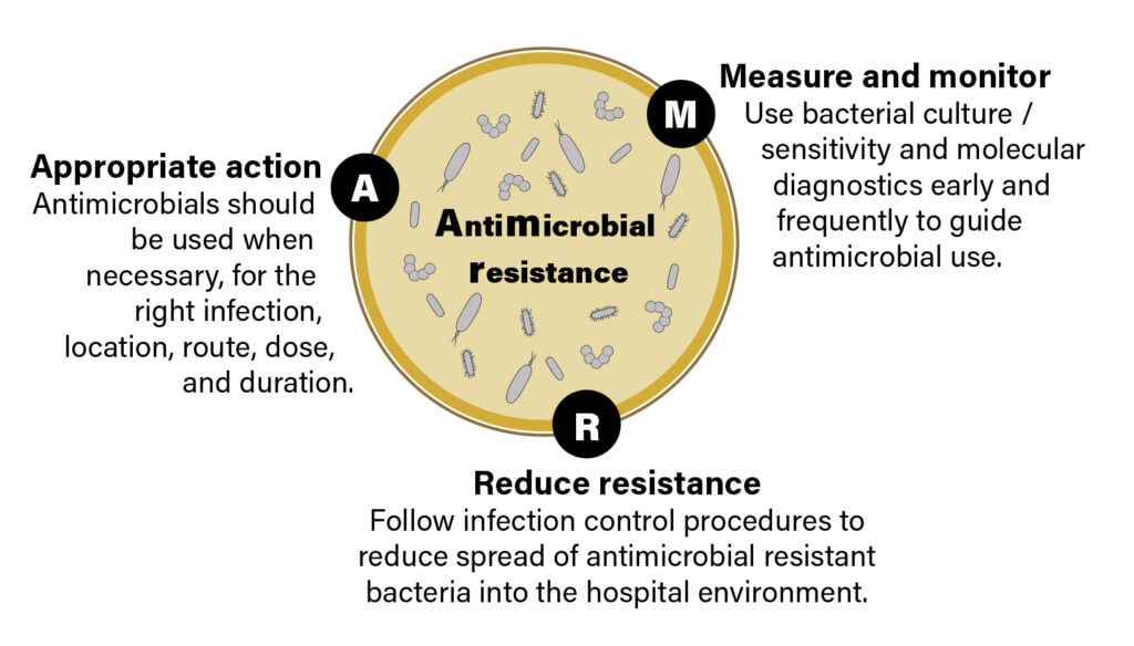 Diagram explaining Antimicrobial Resistance