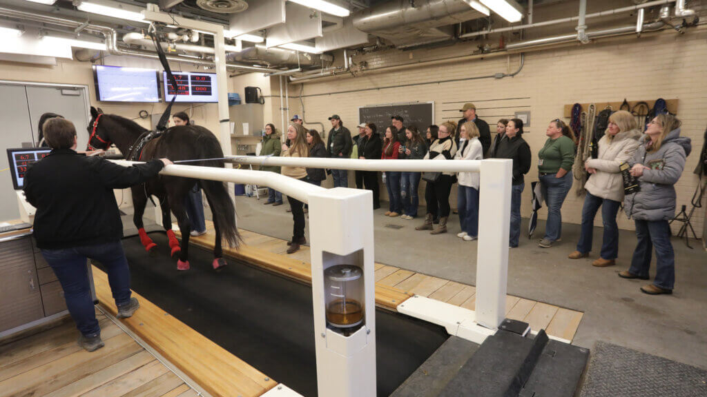 Equine Wellness Forum attendees enjoyed a demonstration of the high speed equine treadmill in the Donald J. McCrosky Equine Sports Medicine Center.