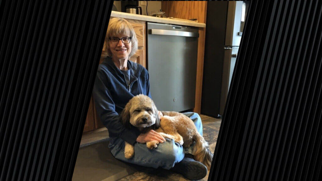 Koda, a young poodle mix, sitting on his owner's lap.