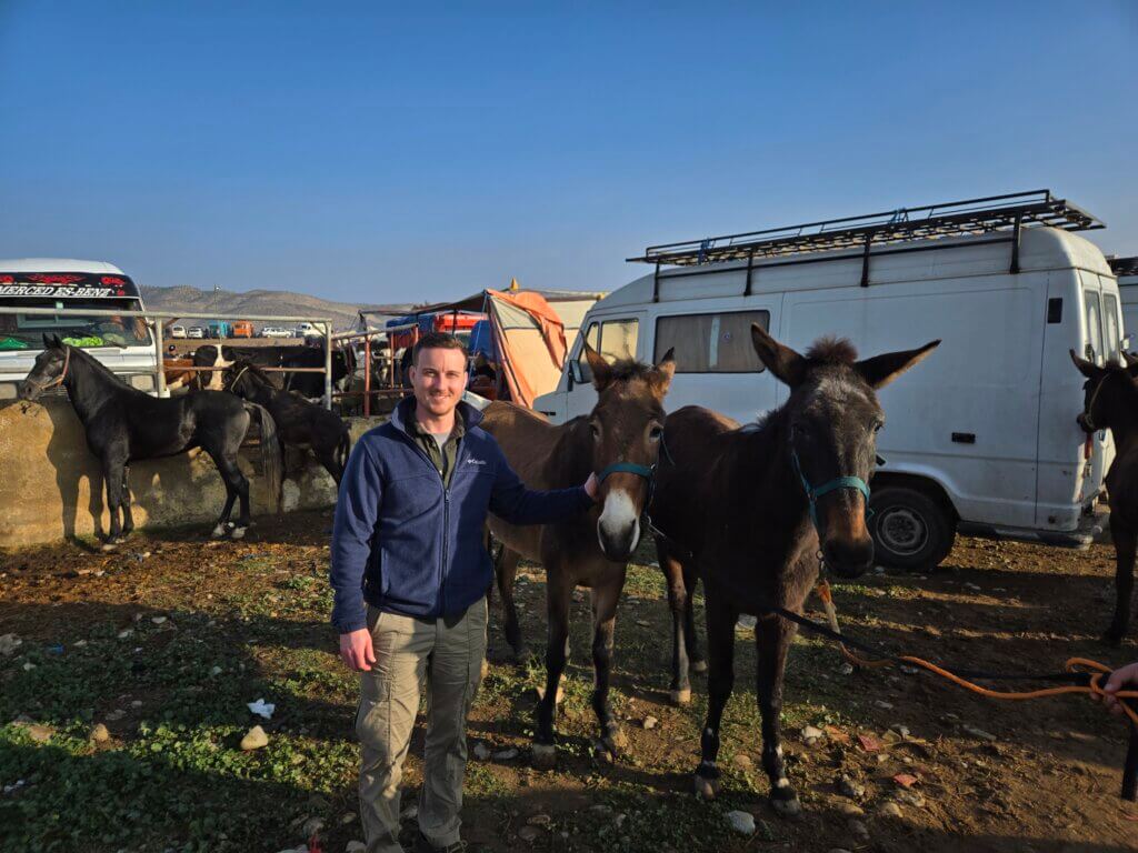 Addison Sheldon at a local market outside of the Medina of Fez, with mules purchased by the American Fondouk to donate to a family in need.