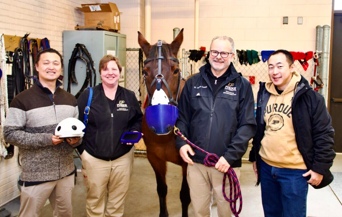 (Left-right) Chang Geun Lee, a PhD candidate in Purdue Health Sciences and Laura Murray, RVT, research technologist in Purdue Veterinary Medicine’s Department of Veterinary Clinical Sciences, with Leila the horse, Dr. Laurent Couëtil, professor of Large Animal Internal Medicine, and Dr. Jae Hong Park, associate professor of Health Sciences, who all collaborated to create a respirator for asthmatic horses. (Photo by Tim Brouk)
