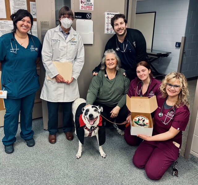 Members of the Purdue University Veterinary Hospital’s medical oncology team celebrate Boo's birthday.
