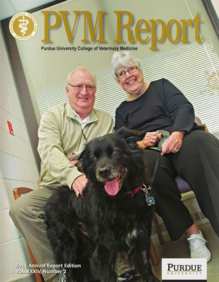 Annual 2011 PVM Report