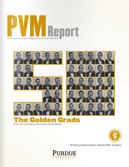 Annual 2012 PVM Report