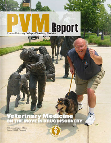Annual 2013 PVM Report
