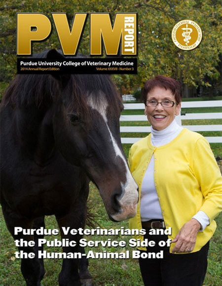 Annual 2014 PVM Report
