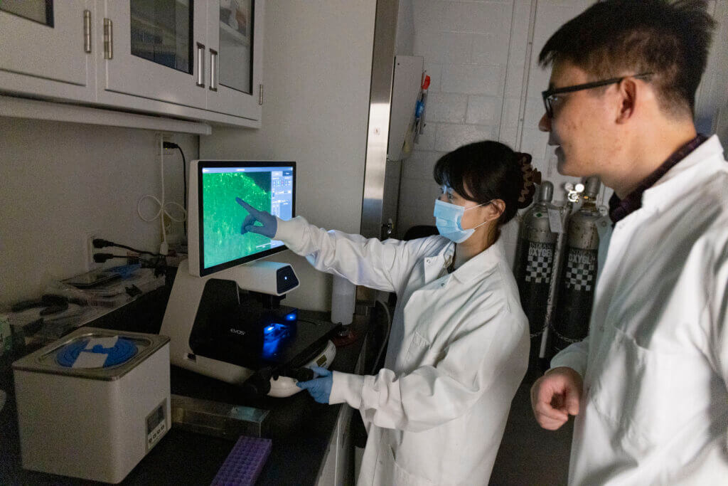 Dr. Xu and Yanru evaluate staining results from organoids.