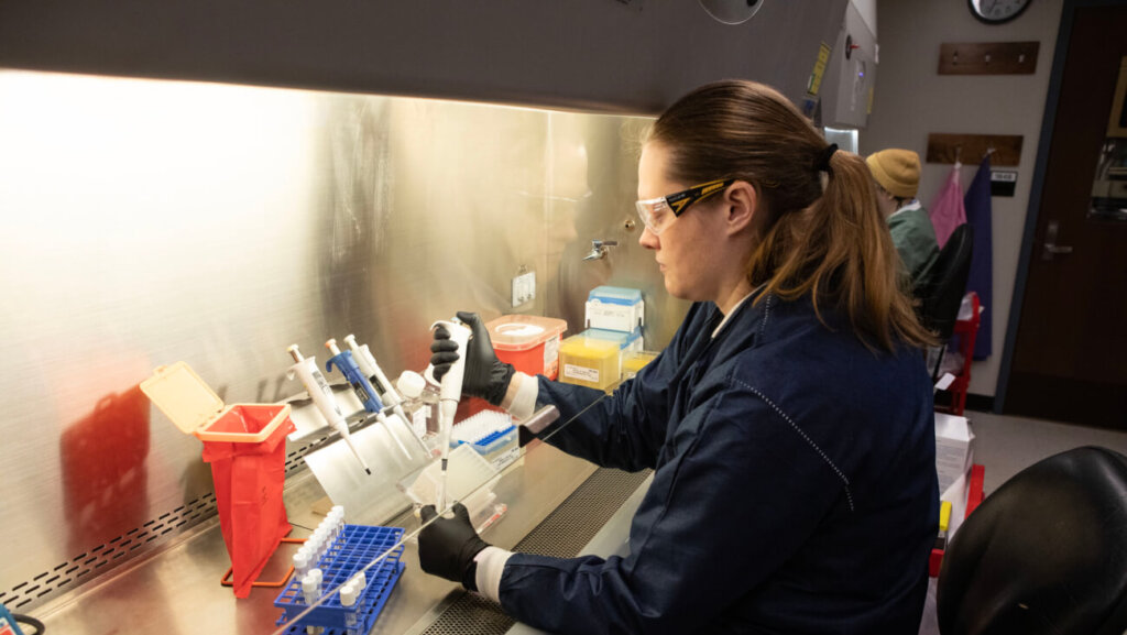 Molecular Laboratory Supervisor Angie Chan conducts tests on samples submitted to the Willie M. Reed Animal Disease Diagnostic Laboratory in West Lafayette.