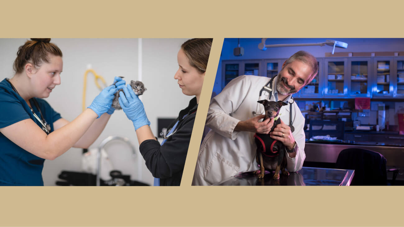 Purdue students gain clinical experience through a partnership with the Humane Society for Greater Lafayette (left). Dr. Michael Childress (right)