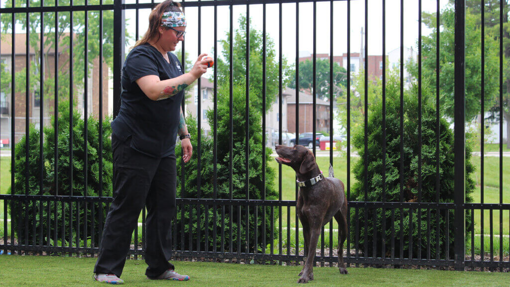 Intermediate Care Veterinary Technician Supervisor Tami Lind tests out the dog run’s new synthetic surface.