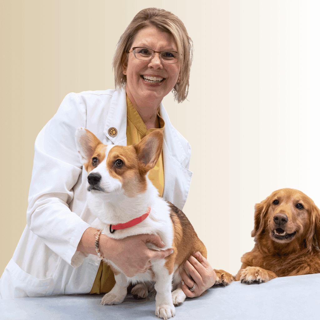 Dr. Mindy Anderson, PharmD, BS, RVT, with canine companions Rupert and Charlie Ann.