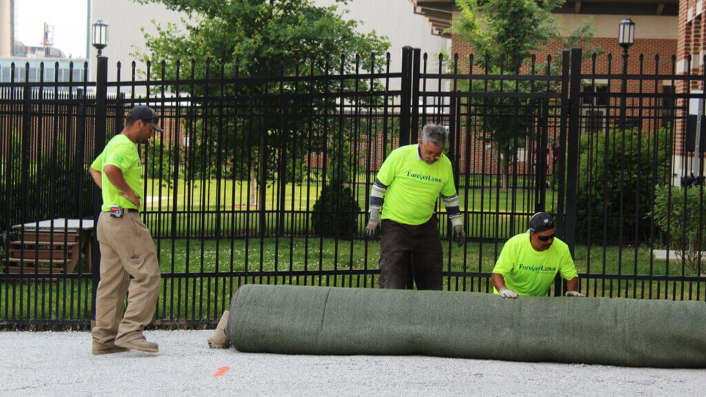 The Forever Lawn landscaping crew rolls out the new turf, called K9Grass Elite.