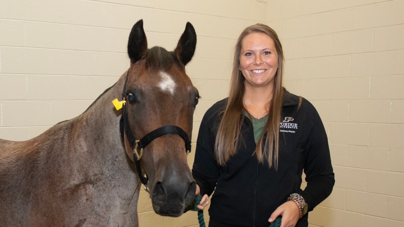 Female adult standing next to a horse, smiling in front of a wall