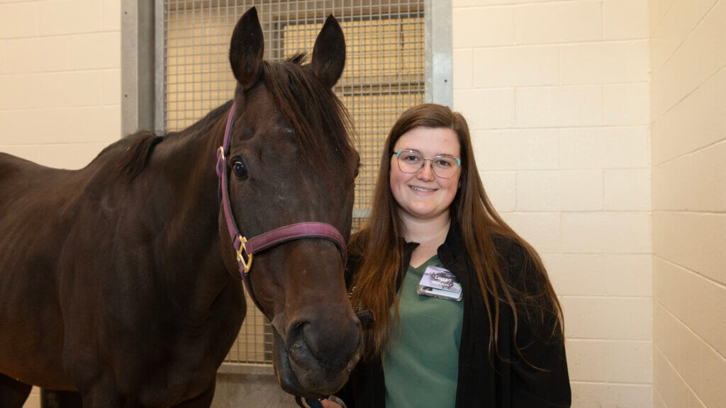 A female veterinary assistant standing with a horse