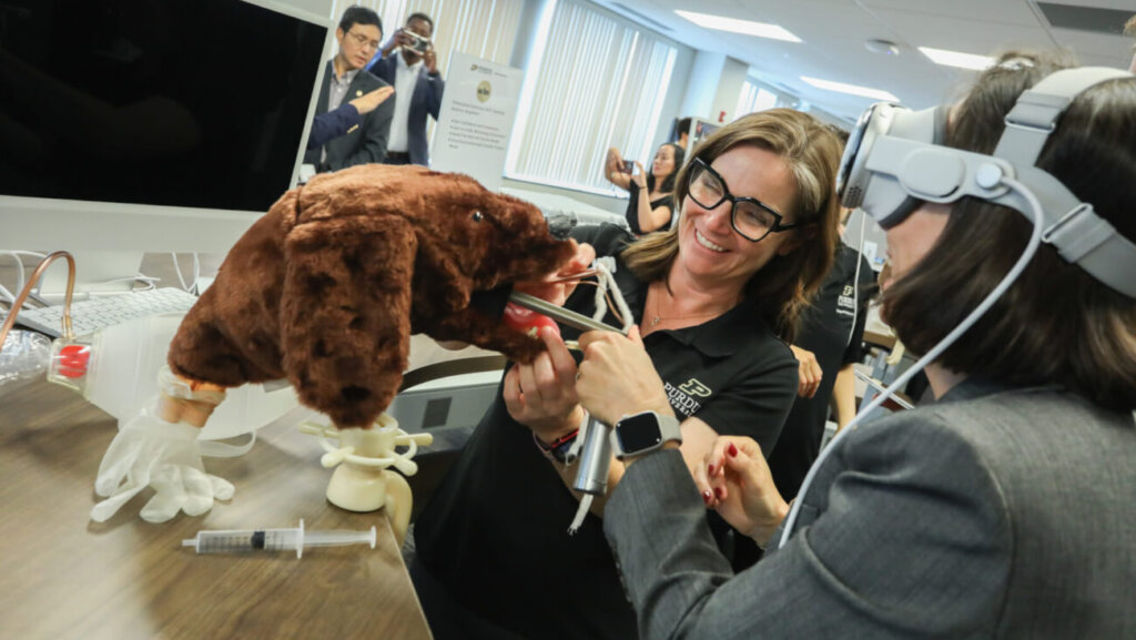 Purdue Senior Lecturer Stephanie Inoue, DVM, demonstrates how veterinary student learning can be enhanced through the use of spatial computing hub technology.