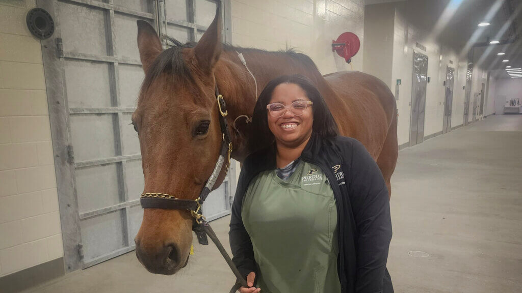 A smiling person in Purdue Veterinary Hospital attire stands beside a calm brown horse in an indoor clinical hallway.