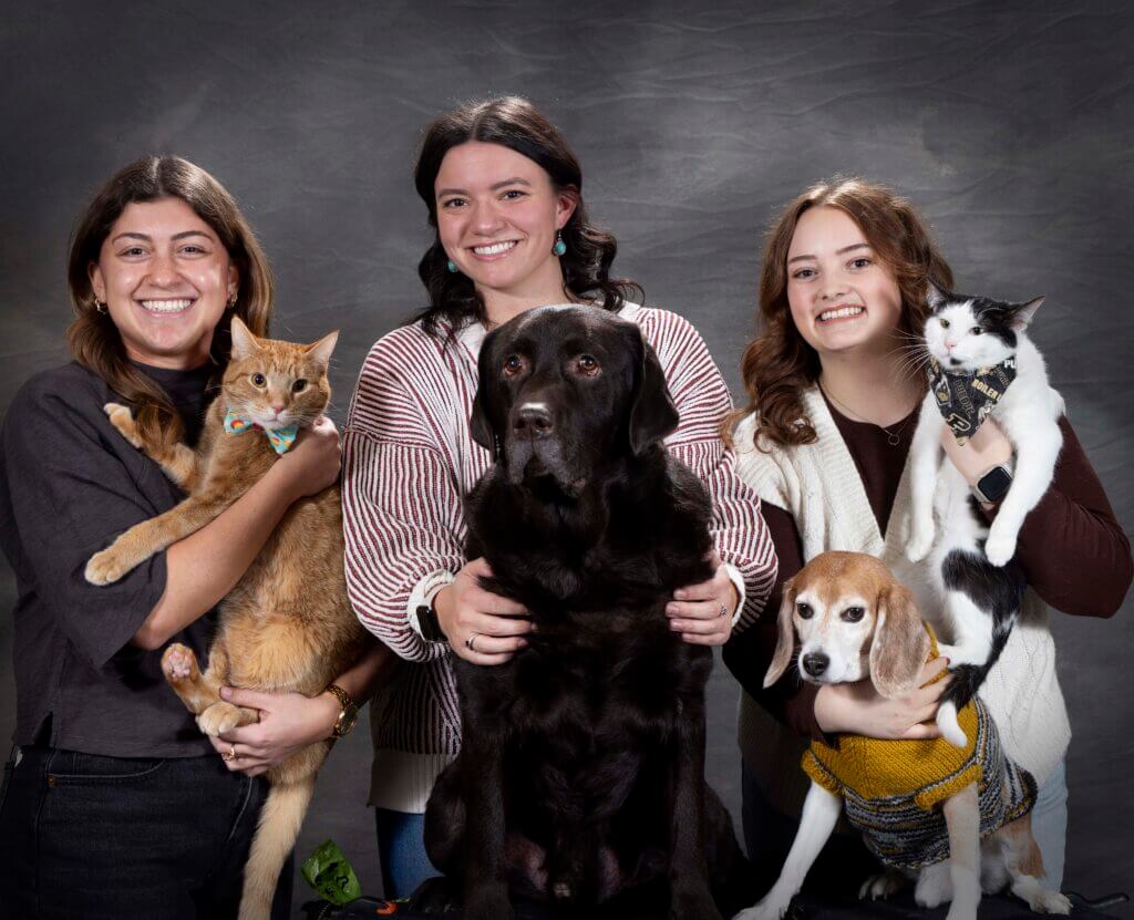 three young women stand holding a variety of animals, the woman on the far left is holding an orange cat and is wearing a gray shirt. The woman in the middle is wearing stripes and is posed with a black medium sized dog. The woman on the right is wearing a white sweater and is holding a cat in one hand and a small dog in the other hand.